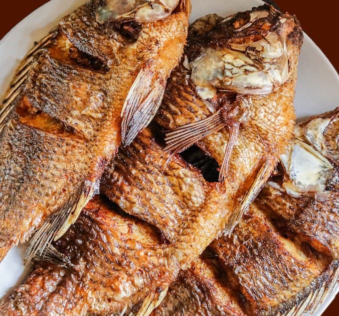 Fish Plate